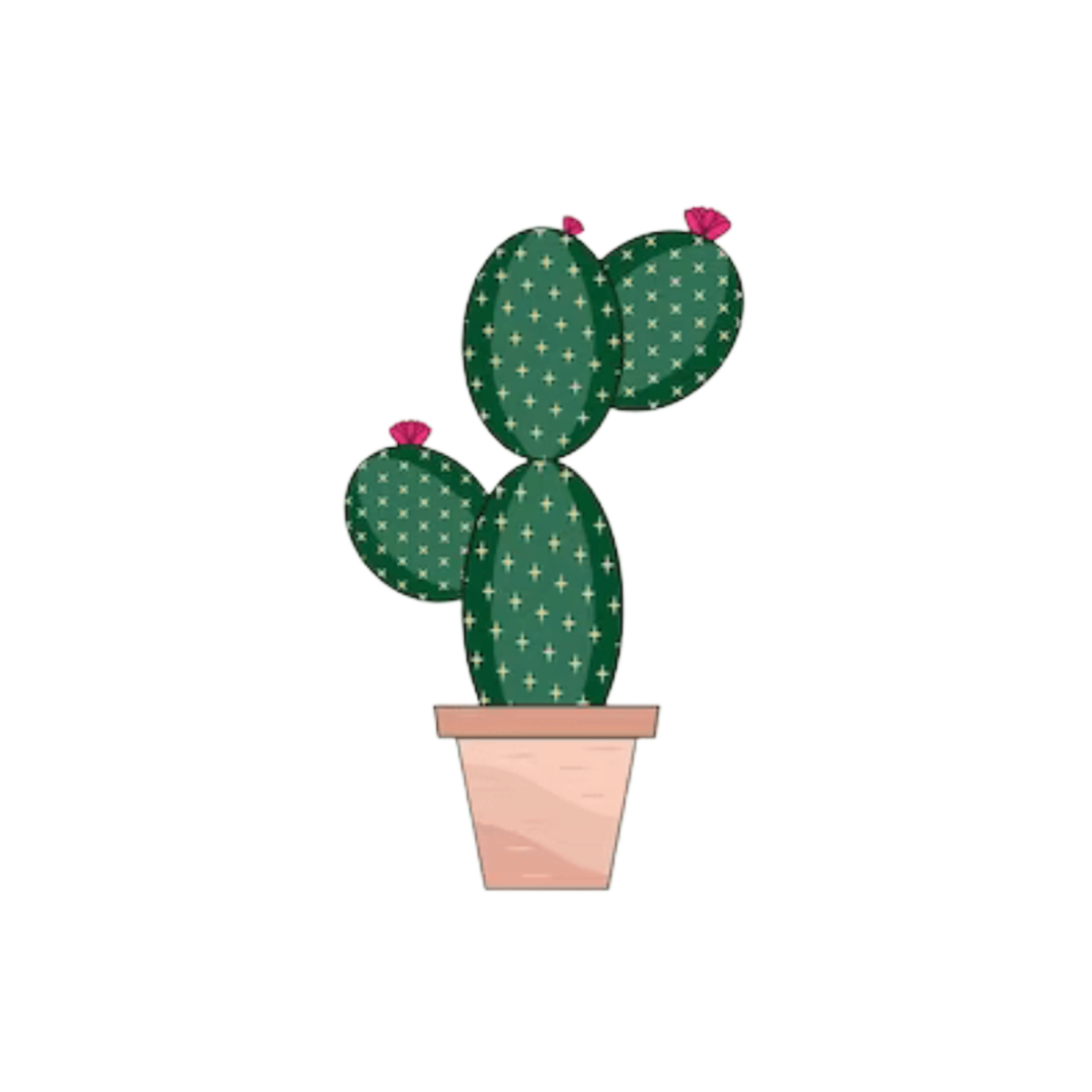Cactusakfantezi
