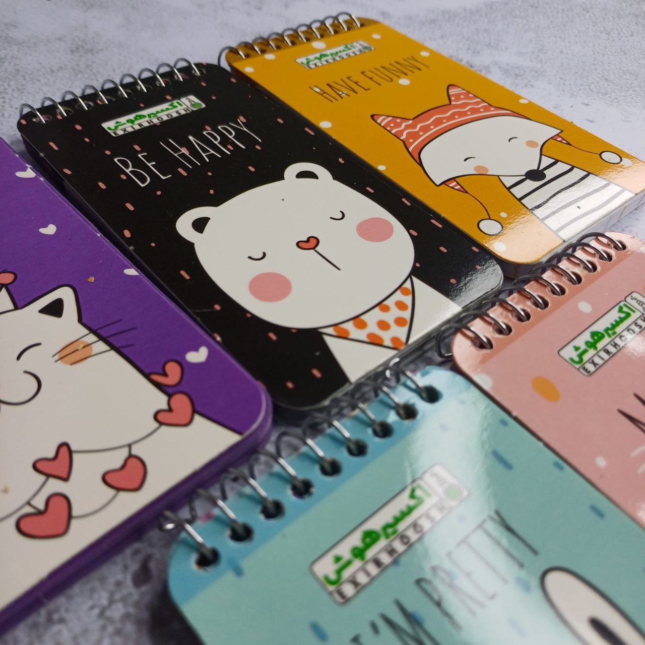 پلنر و تودولیست گربه ای